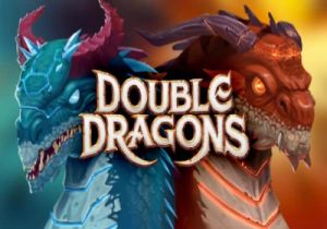 General information about Double Dragons slot