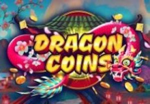 General information about Dragon Coins slot