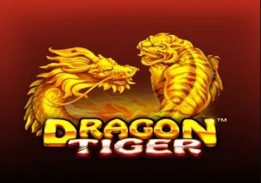 Dragon Tiger logo