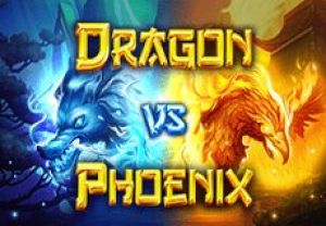 General information about Dragon vs Phoenix slot