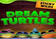 Dream Turtles