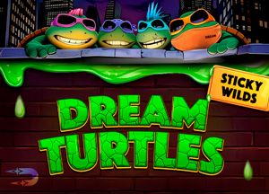 General information about Dream Turtles slot