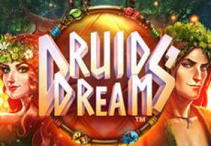 General information about Druids' Dream slot