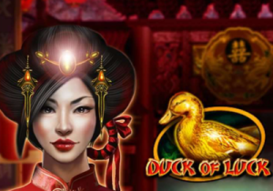 General information about Duck of Luck slot