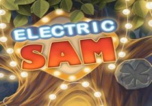 General information about Electric SAM slot