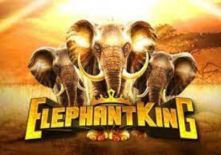 elephant-king-logo-230x155s