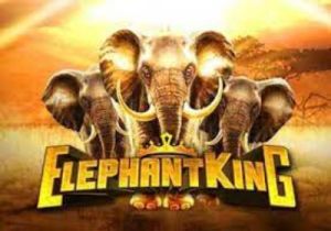 General information about Elephant King slot