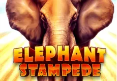 Elephant Stampede