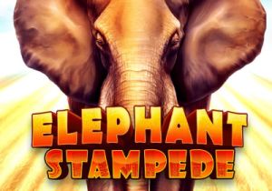 General information about Elephant Stampede slot