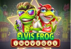 Elvis Frog In Vegas Slot by BGaming Logo