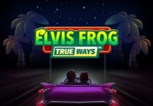 General information about Elvis Frog TrueWays slot