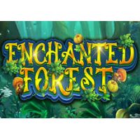 Enchanted Forest Slot Review | Demo & Free Play | RTP Check