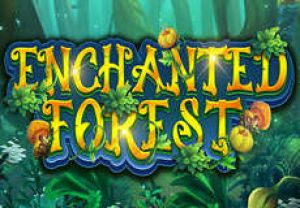 General information about Enchanted Forest slot