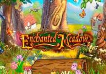 Enchanted Meadow