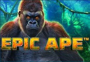 General information about Epic Ape slot