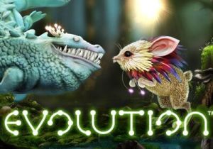 General information about Evolution slot