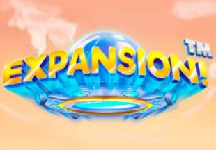 General information about Expansion! slot