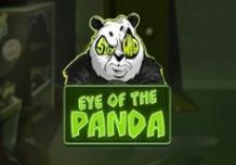 Eye of the Panda