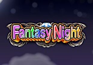 General information about Fantasy Night slot