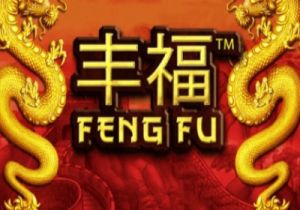 General information about Feng Fu slot