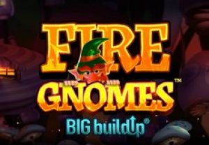 General information about Fire Gnomes slot