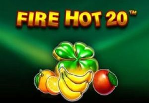 General information about Fire Hot 20 slot