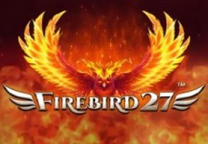 General information about Firebird 27 slot