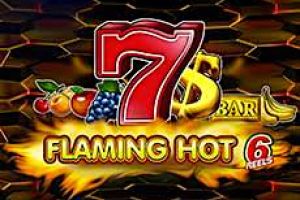 flaming hot 6 reels demo