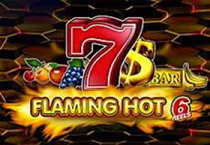 General information about Flaming Hot 6 Reels slot