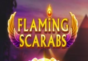 General information about Flaming Scarabs slot