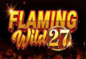 General information about Flaming Wild 27 slot