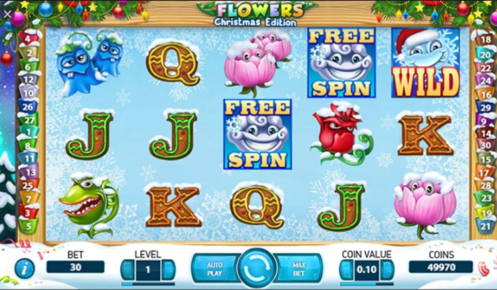Flowers Christmas Edition