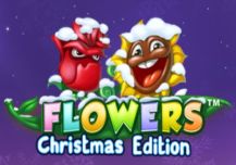 Flowers Christmas Edition