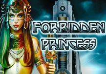Forbidden Princess