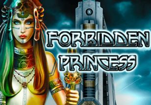 General information about Forbidden Princess slot
