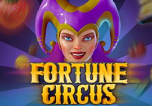 General information about Fortune Circus slot