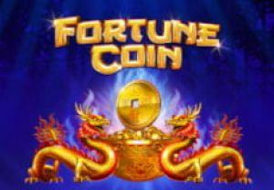 General information about Fortune coin slot