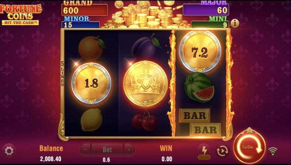 Fortune Coins slot