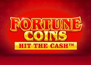General information about Fortune Coins slot