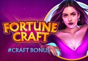 General information about Fortune Craft slot