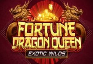 General information about Fortune Dragon Queen Exotic Wilds slot