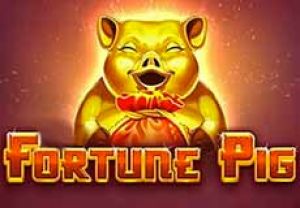 General information about Fortune Pig slot