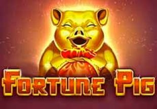 General information about Fortune Pig slot