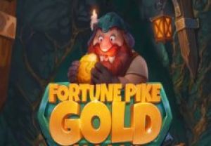 General information about Fortune Pike Gold slot