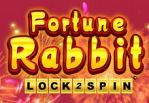 General information about Fortune Rabbit slot