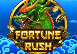 General information about Fortune Rush slot