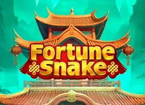 General information about Fortune Snake slot