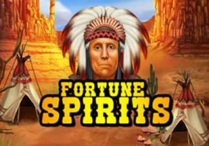 General information about Fortune Spirits slot