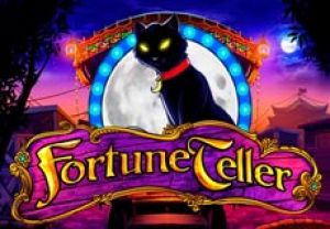 General information about Fortune Teller slot