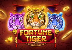 General information about Fortune Tiger slot